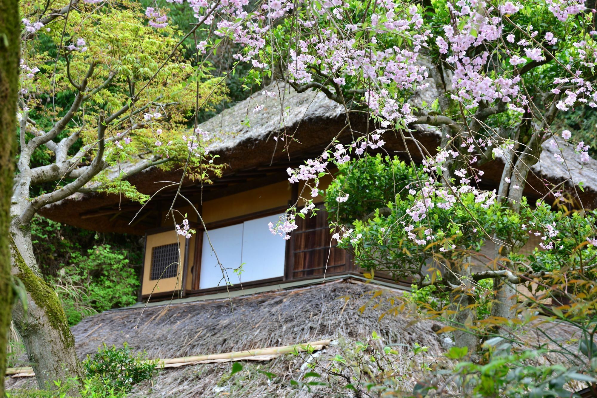 Kona Besso Hotel Izunokuni Bagian luar foto